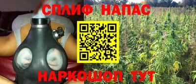 СК Краснознаменск