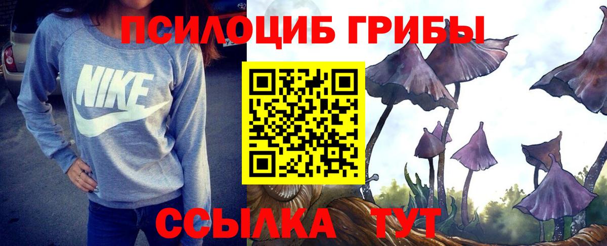 Галлюциногенные грибы Psilocybe  Вход с VPN  Клин 