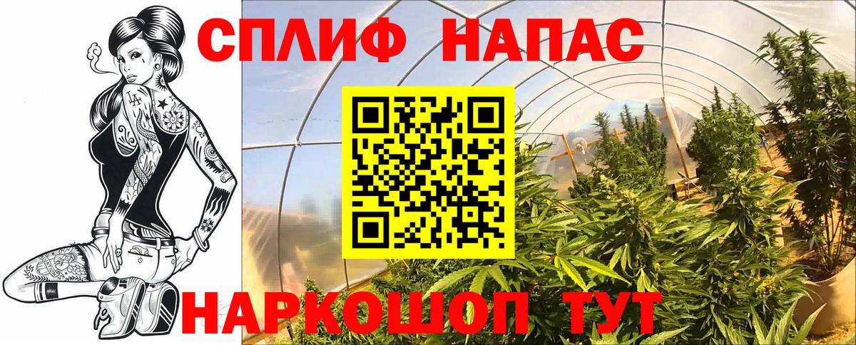 Канабис Amnesia  Вход с VPN  Бошки марихуана тримм  МАРИХУАНА гибрид  Клин 